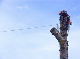 Eli ready to zip W.JPG