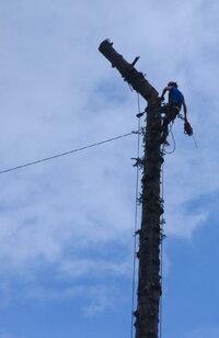 Eli catchin it W.jpg