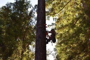 DSC_0104 copy 2.jpeg