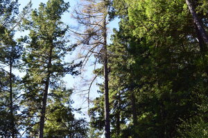 DSC_0014 copy 2.jpeg