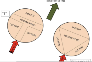 Screenshot 2024-01-06 at 12.21.20 PM.png