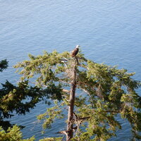 00 eagle water view.jpg