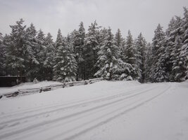 0 2024 snow day 02.jpg