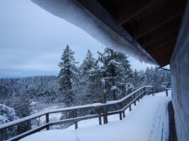 0 2024 snow day 03.jpg