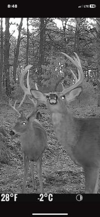 Screenshot 2024-01-12 at 8.48.18 AM.jpeg