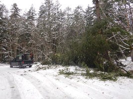 0 2024 snow day 09.jpg