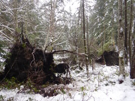 0 2024 snow day 10.jpg