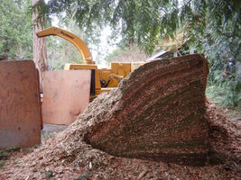 00 cracked pine 02.jpg