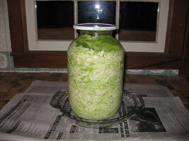 Sour Kraut our first.JPG