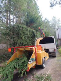 000 hedge reduction.jpg