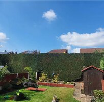 WhatsApp Image 2024-03-07 at 20.51.06_ee835030.jpg