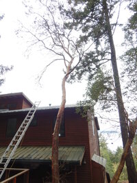 00 Over House 01.jpg