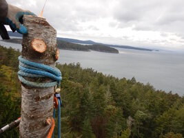 00 Over House 03.jpg