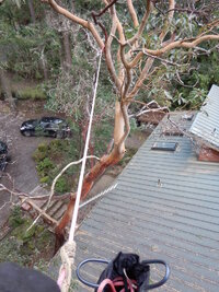 00 Over House 04.jpg