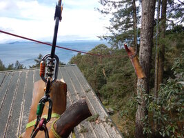 00 Over House 07.jpg