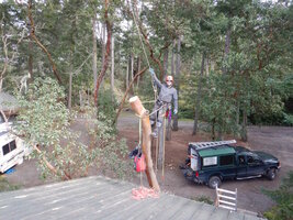 00 Over House 08.jpg