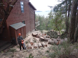 00 Over House 10.jpg