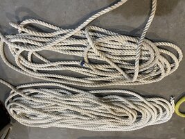 IMG_7834.jpeg IMG_7834.jpeg