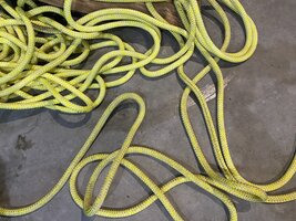 IMG_7832.jpeg IMG_7832.jpeg