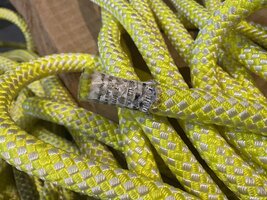 IMG_7831.jpeg IMG_7831.jpeg