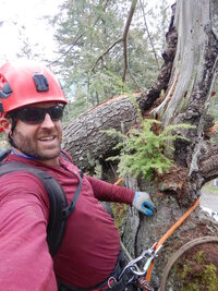 0 trees in trees 02.jpg