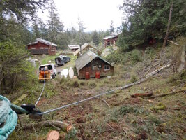 0 trees in trees 03.jpg