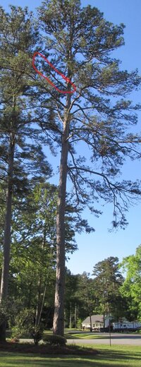 Screenshot 2024-04-12 023436.jpg