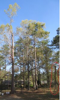 Screenshot 2024-04-12 033224.jpg