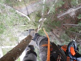 DSCN0398 (Custom).JPG