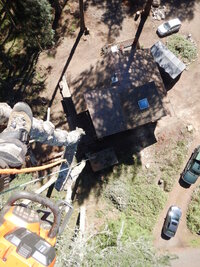 00 topped fir 04.jpg