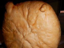 00 topped fir 09.jpg