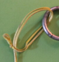     C&S In tree tl choked line.jpg