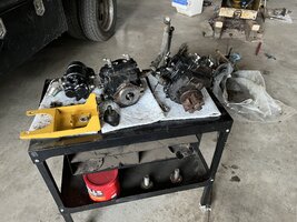 IMG_1934.jpeg IMG_1934.jpeg