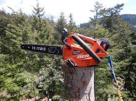 00 echo mini climbing saw weights 04.jpg