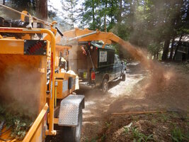 00 dusty chippin.jpg