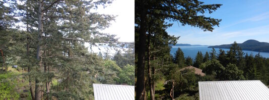 00 SP Before After.jpg