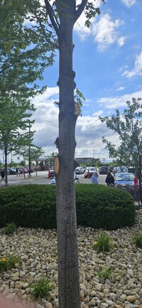 20240602_163839 (Medium).jpg