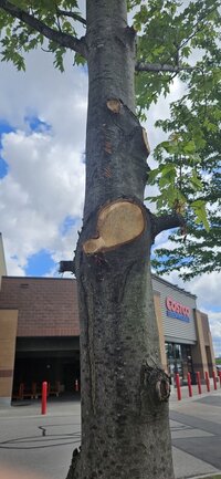 20240602_163846 (Medium).jpg