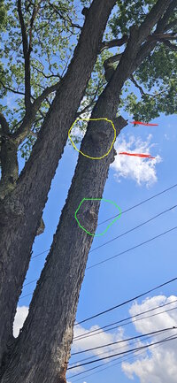 20240603_154839 markedup.jpg