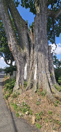 20240603_160537 hollow area.jpg