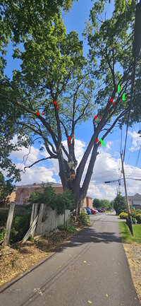 20240603_155410 proposal.jpg