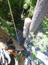 000 weak week 04.jpg