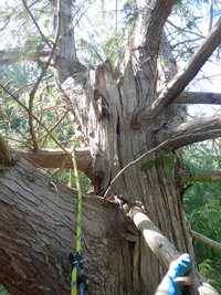 000 weak week 05.jpg