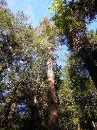 000 weak week 06.jpg