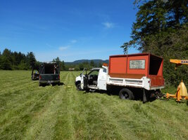 000 weak week 07.jpg