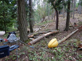 000 Greenspar Tree Service - Gas Winch.JPG