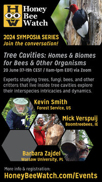 KTSmith Honeybee cavity flyer 2024.jpg