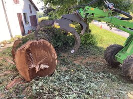 IMG_1371.jpeg IMG_1371.jpeg