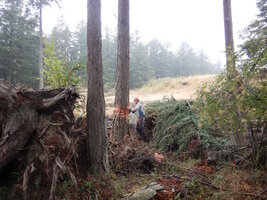 00 airstrip work 01.jpg