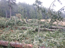 00 airstrip work 02.jpg